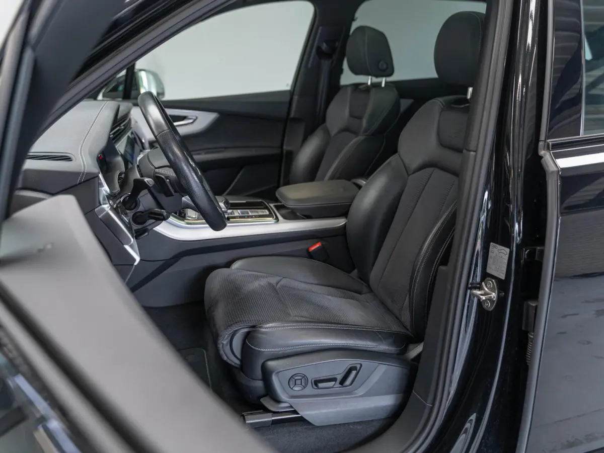 55 TFSI e quattro Pro Line S Panodak camera 21'