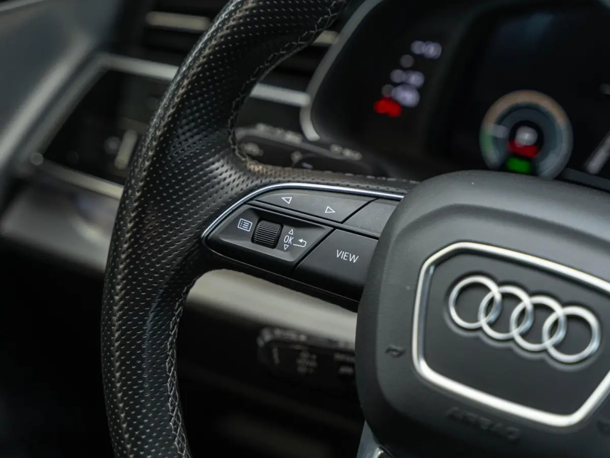 55 TFSI e quattro Pro Line S Panodak camera 21'