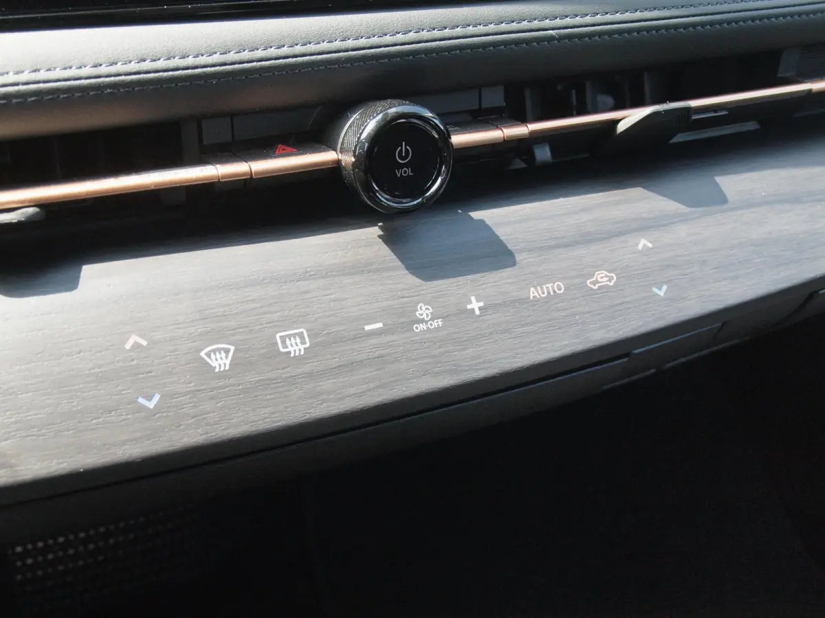 Advance 66 kWh | 360 Camera | Warmtepomp | DAB | Navi | NL-Auto |