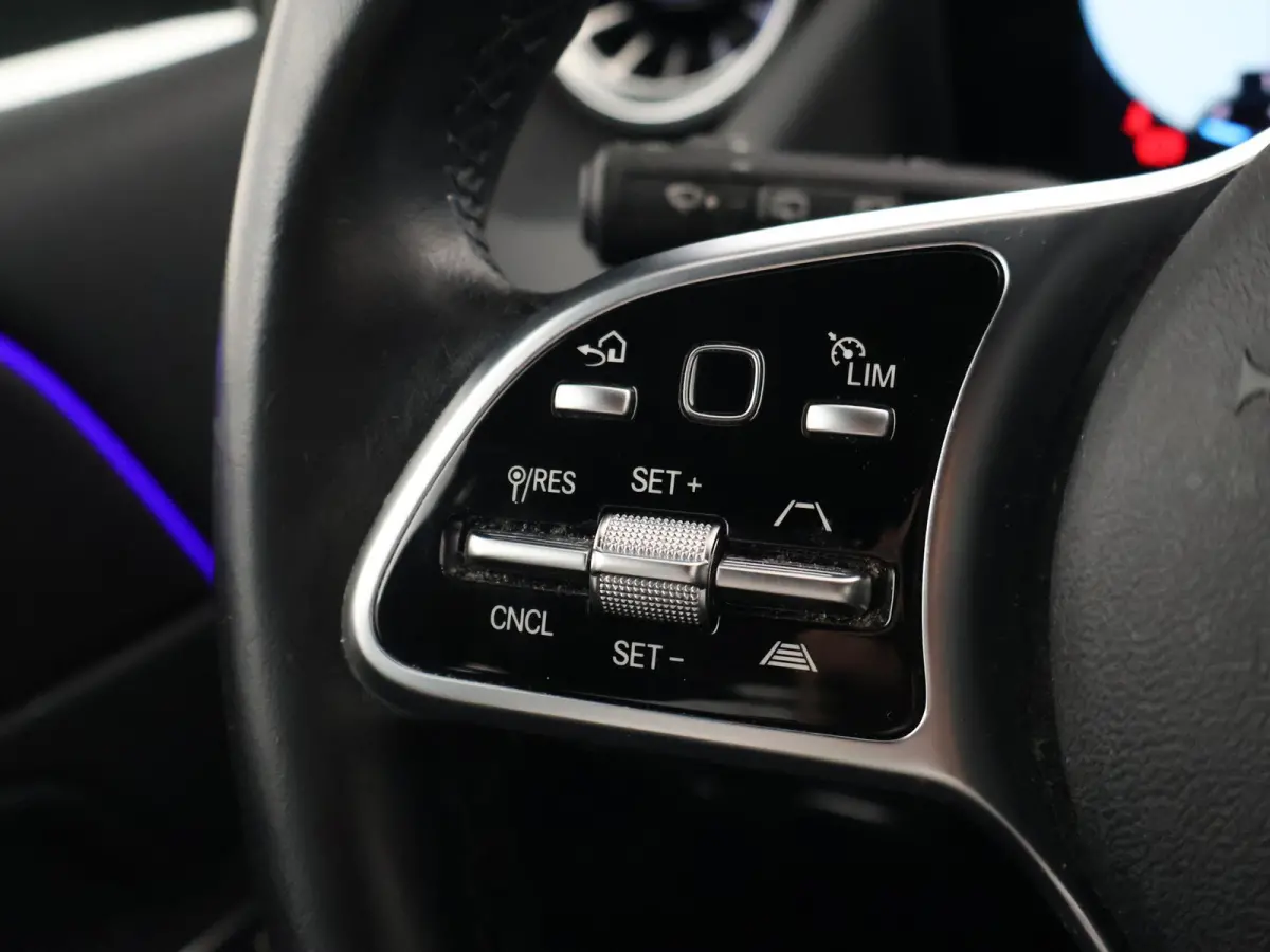 250e PREMIUM + SFEERVERLICHTING | ADAPTIVE CRUISE | 360 CAMERA | 18 INCH | WIDESCREEN