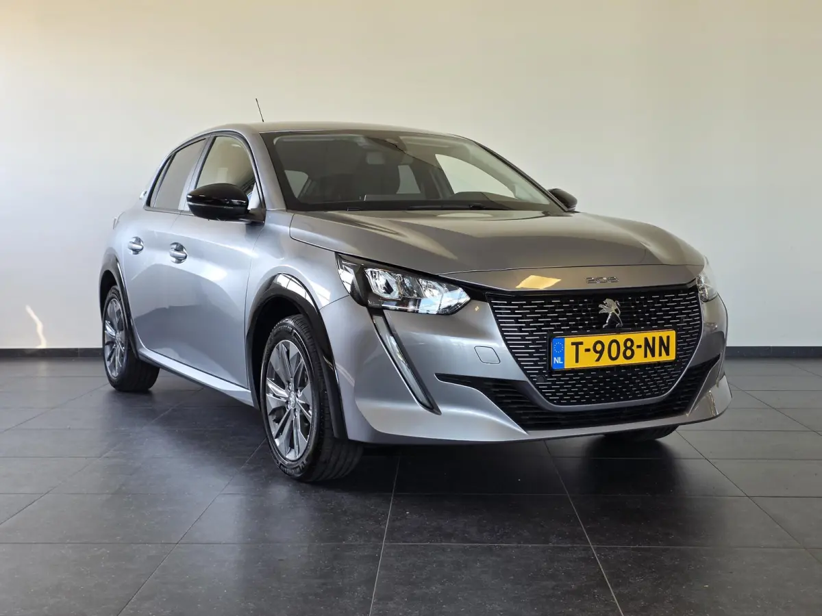 EV Active Pack 50 kWh | 3-Fase | Cruise control | Apple Carplay & Android Auto |