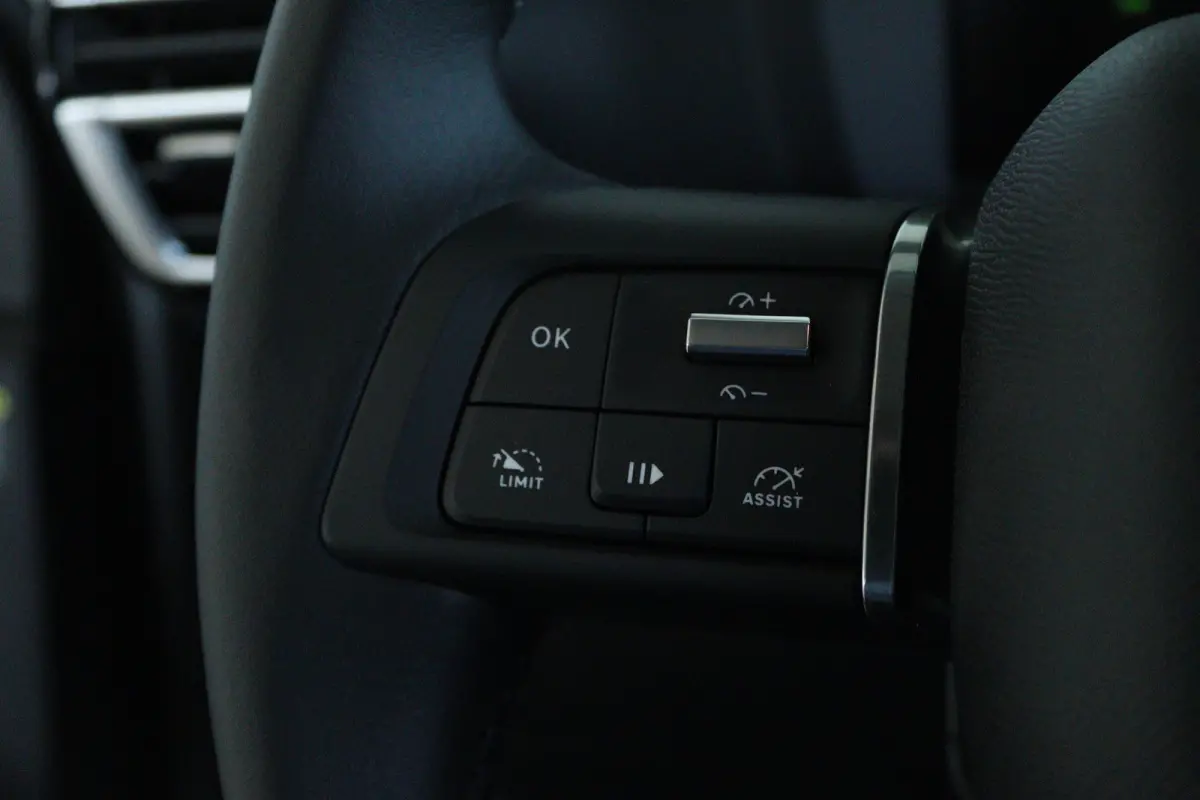 Collection - Elektrisch | Cruise Control | Stoelverwarming | Navi | Carplay | Climate | Camera | V2L | Warmtepomp