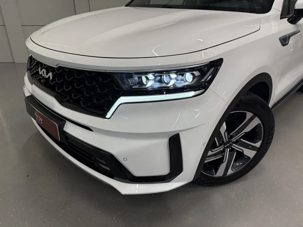 1.6 T-GDI Plug-in Hybrid 4WD Platinum LEER/HEAD-UP/BOSE/360CAMERA/SOH 97%/LED/VENTILATIE+MEMORY/CARPLAY/19"/EL.A.KLEP/DONKERE-HEMEL/NIVEAU-REGELING/NET GROTE OH BEURT GEHAD BIJ KIA DEALER (/