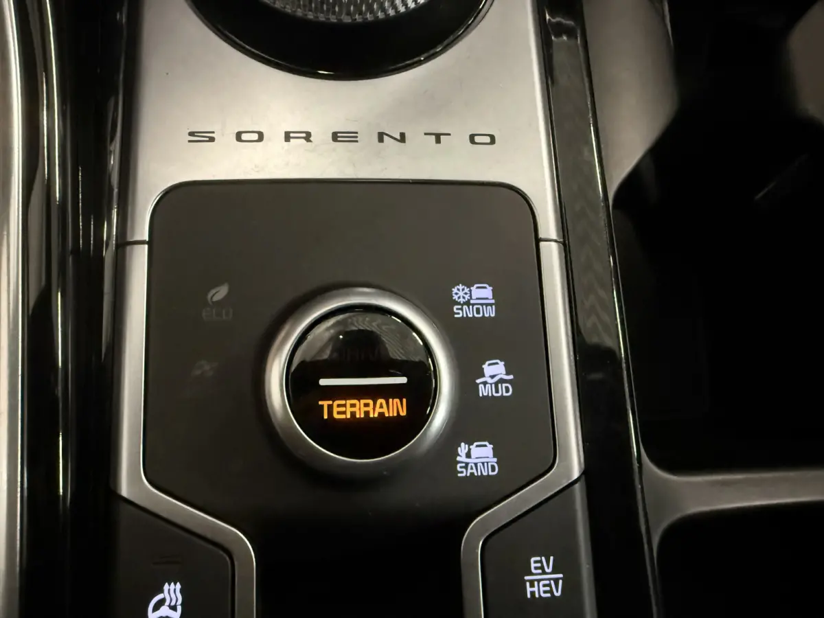 1.6 T-GDI Plug-in Hybrid 4WD Platinum LEER/HEAD-UP/BOSE/360CAMERA/SOH 97%/LED/VENTILATIE+MEMORY/CARPLAY/19"/EL.A.KLEP/DONKERE-HEMEL/NIVEAU-REGELING/NET GROTE OH BEURT GEHAD BIJ KIA DEALER (/