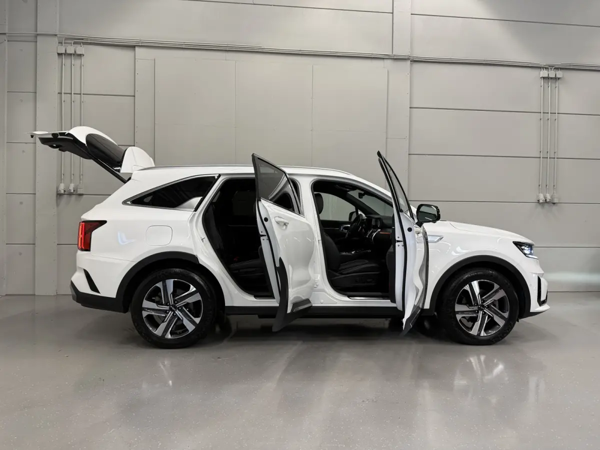 1.6 T-GDI Plug-in Hybrid 4WD Platinum LEER/HEAD-UP/BOSE/360CAMERA/SOH 97%/LED/VENTILATIE+MEMORY/CARPLAY/19"/EL.A.KLEP/DONKERE-HEMEL/NIVEAU-REGELING/NET GROTE OH BEURT GEHAD BIJ KIA DEALER (/