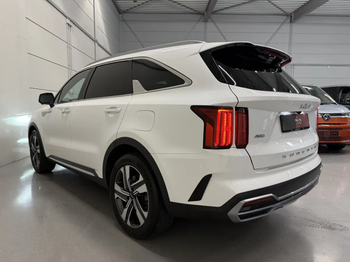 1.6 T-GDI Plug-in Hybrid 4WD Platinum LEER/HEAD-UP/BOSE/360CAMERA/SOH 97%/LED/VENTILATIE+MEMORY/CARPLAY/19"/EL.A.KLEP/DONKERE-HEMEL/NIVEAU-REGELING/NET GROTE OH BEURT GEHAD BIJ KIA DEALER (/