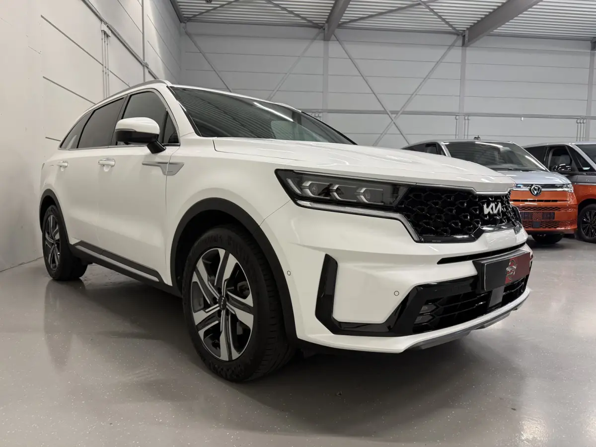 1.6 T-GDI Plug-in Hybrid 4WD Platinum LEER/HEAD-UP/BOSE/360CAMERA/SOH 97%/LED/VENTILATIE+MEMORY/CARPLAY/19"/EL.A.KLEP/DONKERE-HEMEL/NIVEAU-REGELING/NET GROTE OH BEURT GEHAD BIJ KIA DEALER (/