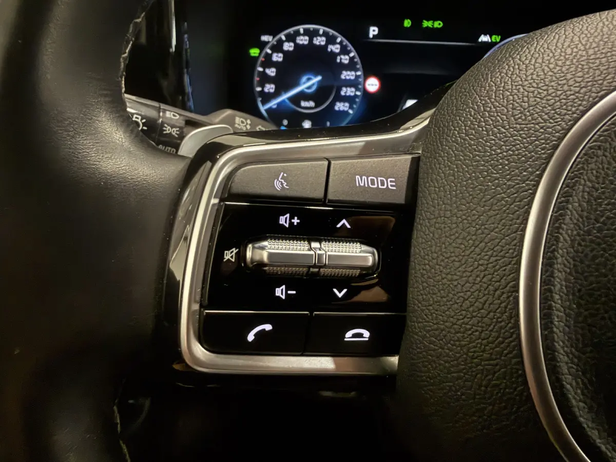 1.6 T-GDI Plug-in Hybrid 4WD Platinum LEER/HEAD-UP/BOSE/360CAMERA/SOH 97%/LED/VENTILATIE+MEMORY/CARPLAY/19"/EL.A.KLEP/DONKERE-HEMEL/NIVEAU-REGELING/NET GROTE OH BEURT GEHAD BIJ KIA DEALER (/