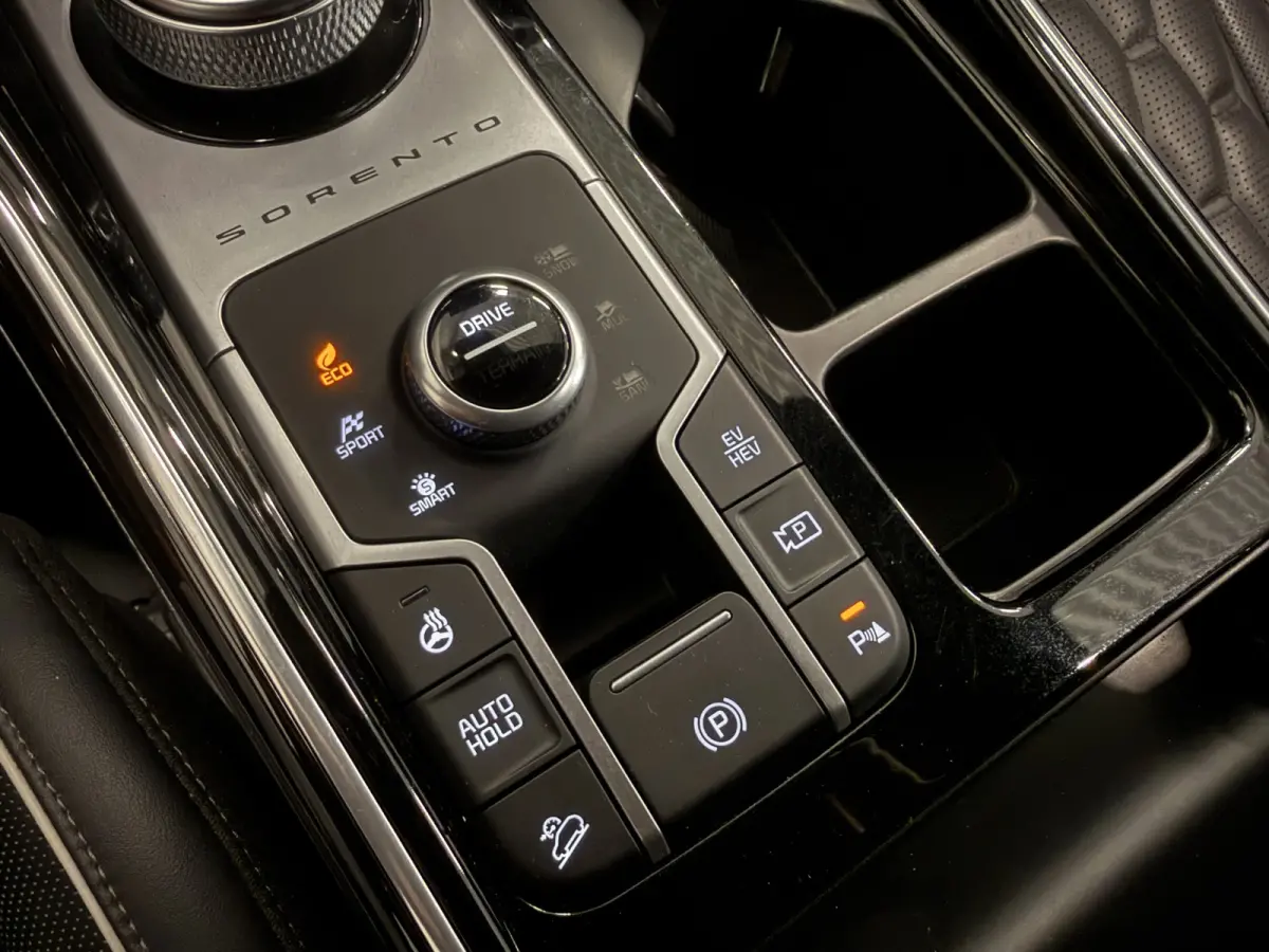 1.6 T-GDI Plug-in Hybrid 4WD Platinum LEER/HEAD-UP/BOSE/360CAMERA/SOH 97%/LED/VENTILATIE+MEMORY/CARPLAY/19"/EL.A.KLEP/DONKERE-HEMEL/NIVEAU-REGELING/NET GROTE OH BEURT GEHAD BIJ KIA DEALER (/
