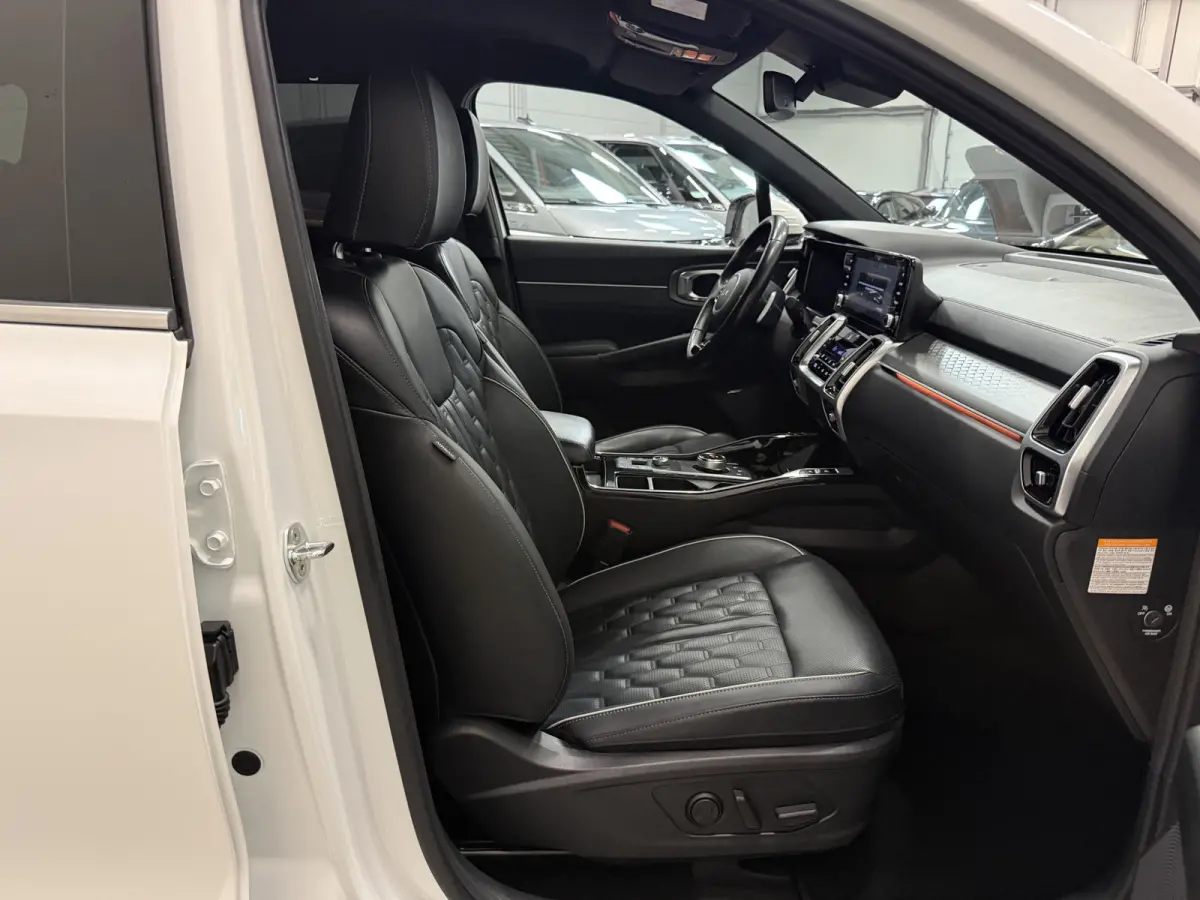 1.6 T-GDI Plug-in Hybrid 4WD Platinum LEER/HEAD-UP/BOSE/360CAMERA/SOH 97%/LED/VENTILATIE+MEMORY/CARPLAY/19"/EL.A.KLEP/DONKERE-HEMEL/NIVEAU-REGELING/NET GROTE OH BEURT GEHAD BIJ KIA DEALER (/