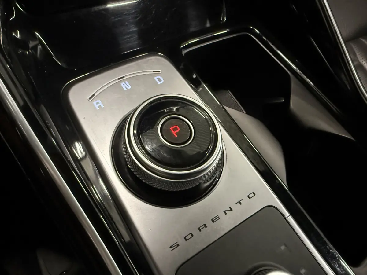 1.6 T-GDI Plug-in Hybrid 4WD Platinum LEER/HEAD-UP/BOSE/360CAMERA/SOH 97%/LED/VENTILATIE+MEMORY/CARPLAY/19"/EL.A.KLEP/DONKERE-HEMEL/NIVEAU-REGELING/NET GROTE OH BEURT GEHAD BIJ KIA DEALER (/
