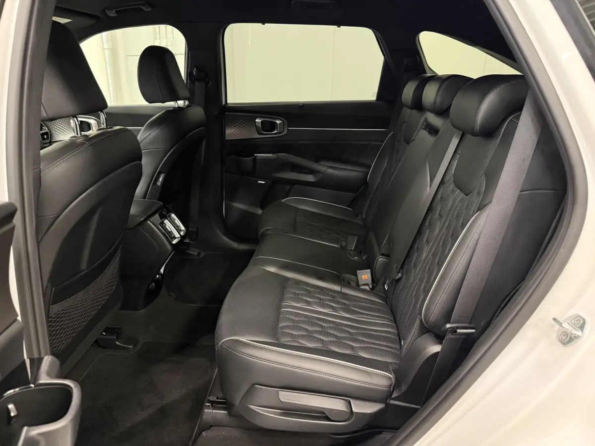 1.6 T-GDI Plug-in Hybrid 4WD Platinum LEER/HEAD-UP/BOSE/360CAMERA/SOH 97%/LED/VENTILATIE+MEMORY/CARPLAY/19"/EL.A.KLEP/DONKERE-HEMEL/NIVEAU-REGELING/NET GROTE OH BEURT GEHAD BIJ KIA DEALER (/