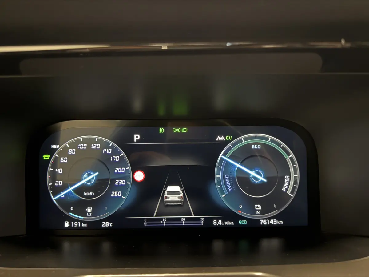 1.6 T-GDI Plug-in Hybrid 4WD Platinum LEER/HEAD-UP/BOSE/360CAMERA/SOH 97%/LED/VENTILATIE+MEMORY/CARPLAY/19"/EL.A.KLEP/DONKERE-HEMEL/NIVEAU-REGELING/NET GROTE OH BEURT GEHAD BIJ KIA DEALER (/