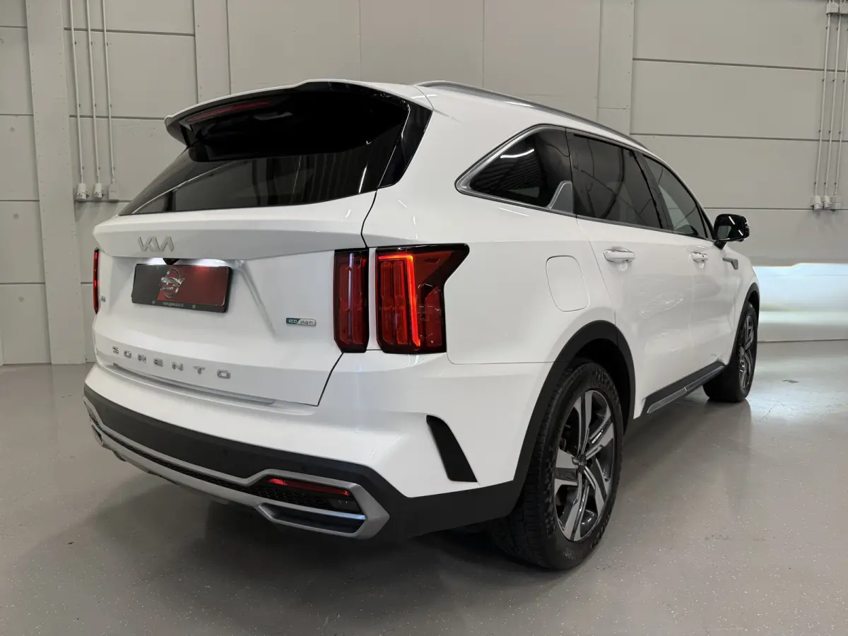 1.6 T-GDI Plug-in Hybrid 4WD Platinum LEER/HEAD-UP/BOSE/360CAMERA/SOH 97%/LED/VENTILATIE+MEMORY/CARPLAY/19"/EL.A.KLEP/DONKERE-HEMEL/NIVEAU-REGELING/NET GROTE OH BEURT GEHAD BIJ KIA DEALER (/