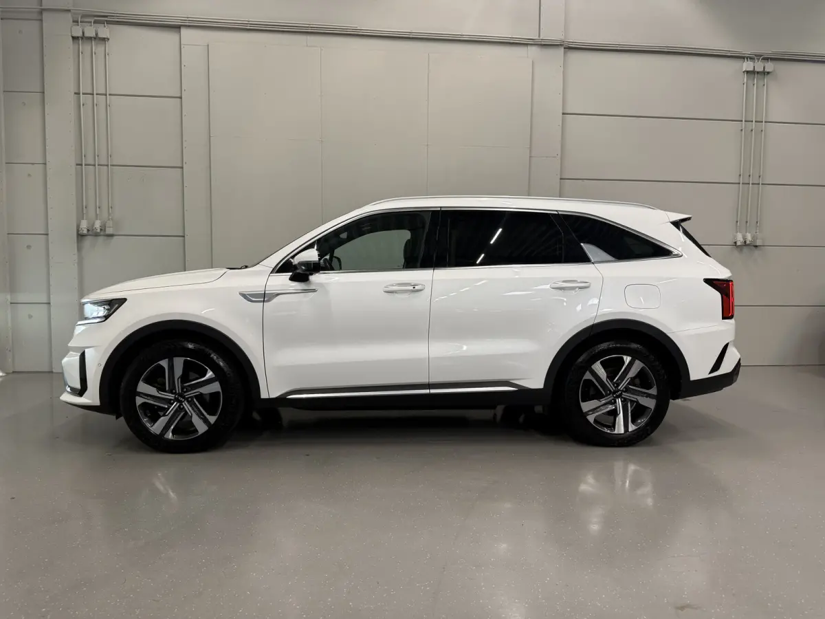 1.6 T-GDI Plug-in Hybrid 4WD Platinum LEER/HEAD-UP/BOSE/360CAMERA/SOH 97%/LED/VENTILATIE+MEMORY/CARPLAY/19"/EL.A.KLEP/DONKERE-HEMEL/NIVEAU-REGELING/NET GROTE OH BEURT GEHAD BIJ KIA DEALER (/