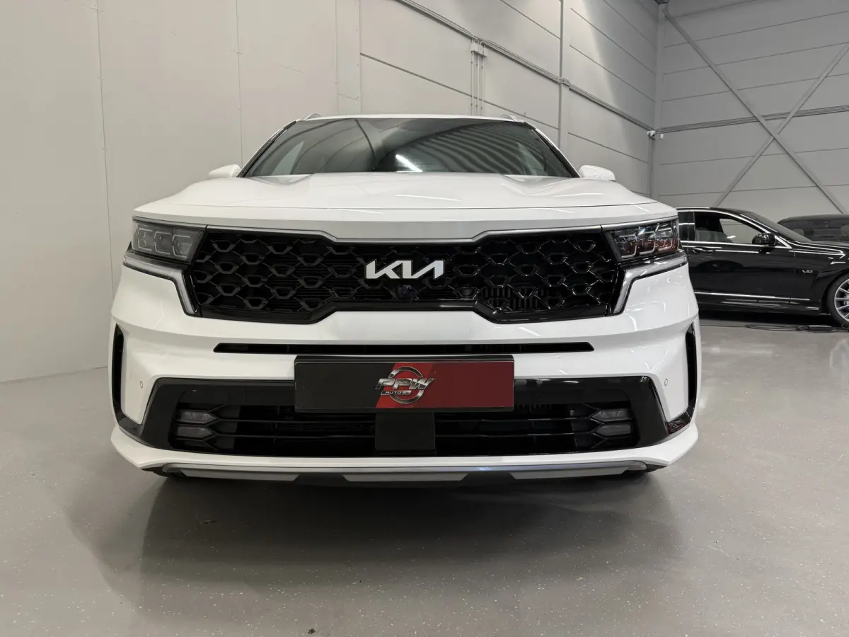 1.6 T-GDI Plug-in Hybrid 4WD Platinum LEER/HEAD-UP/BOSE/360CAMERA/SOH 97%/LED/VENTILATIE+MEMORY/CARPLAY/19"/EL.A.KLEP/DONKERE-HEMEL/NIVEAU-REGELING/NET GROTE OH BEURT GEHAD BIJ KIA DEALER (/
