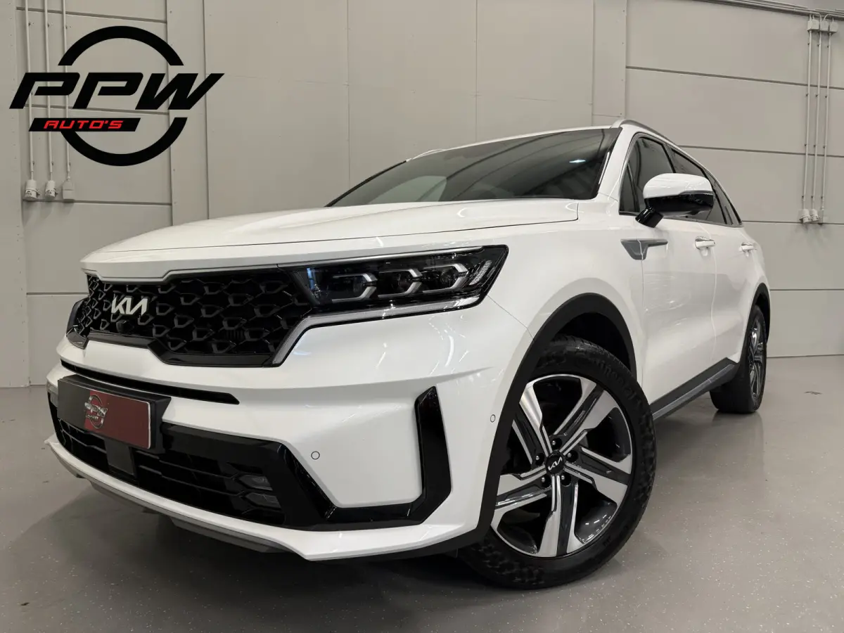 1.6 T-GDI Plug-in Hybrid 4WD Platinum LEER/HEAD-UP/BOSE/360CAMERA/SOH 97%/LED/VENTILATIE+MEMORY/CARPLAY/19"/EL.A.KLEP/DONKERE-HEMEL/NIVEAU-REGELING/NET GROTE OH BEURT GEHAD BIJ KIA DEALER (/