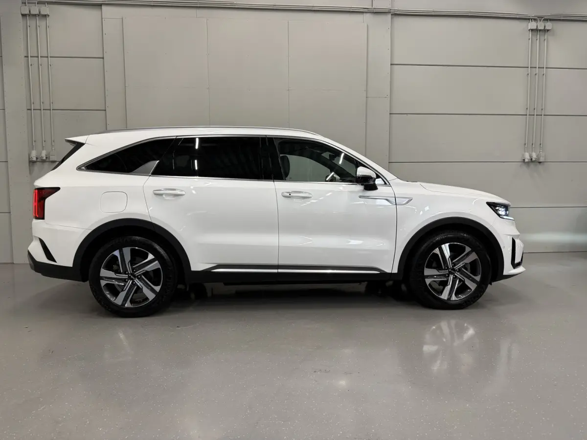 1.6 T-GDI Plug-in Hybrid 4WD Platinum LEER/HEAD-UP/BOSE/360CAMERA/SOH 97%/LED/VENTILATIE+MEMORY/CARPLAY/19"/EL.A.KLEP/DONKERE-HEMEL/NIVEAU-REGELING/NET GROTE OH BEURT GEHAD BIJ KIA DEALER (/