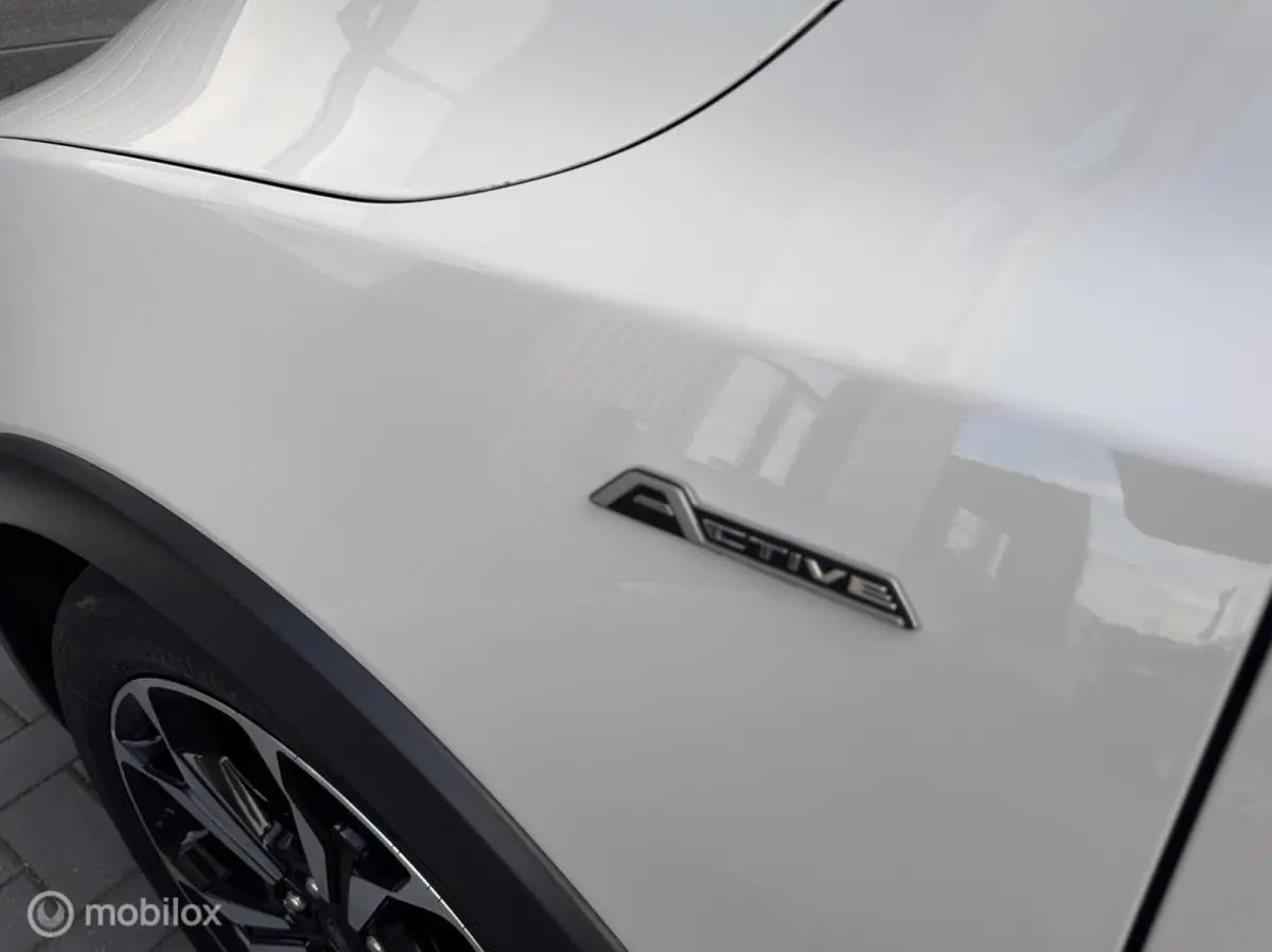 1.5 EcoBoost Active Business | ACC | Sensoren