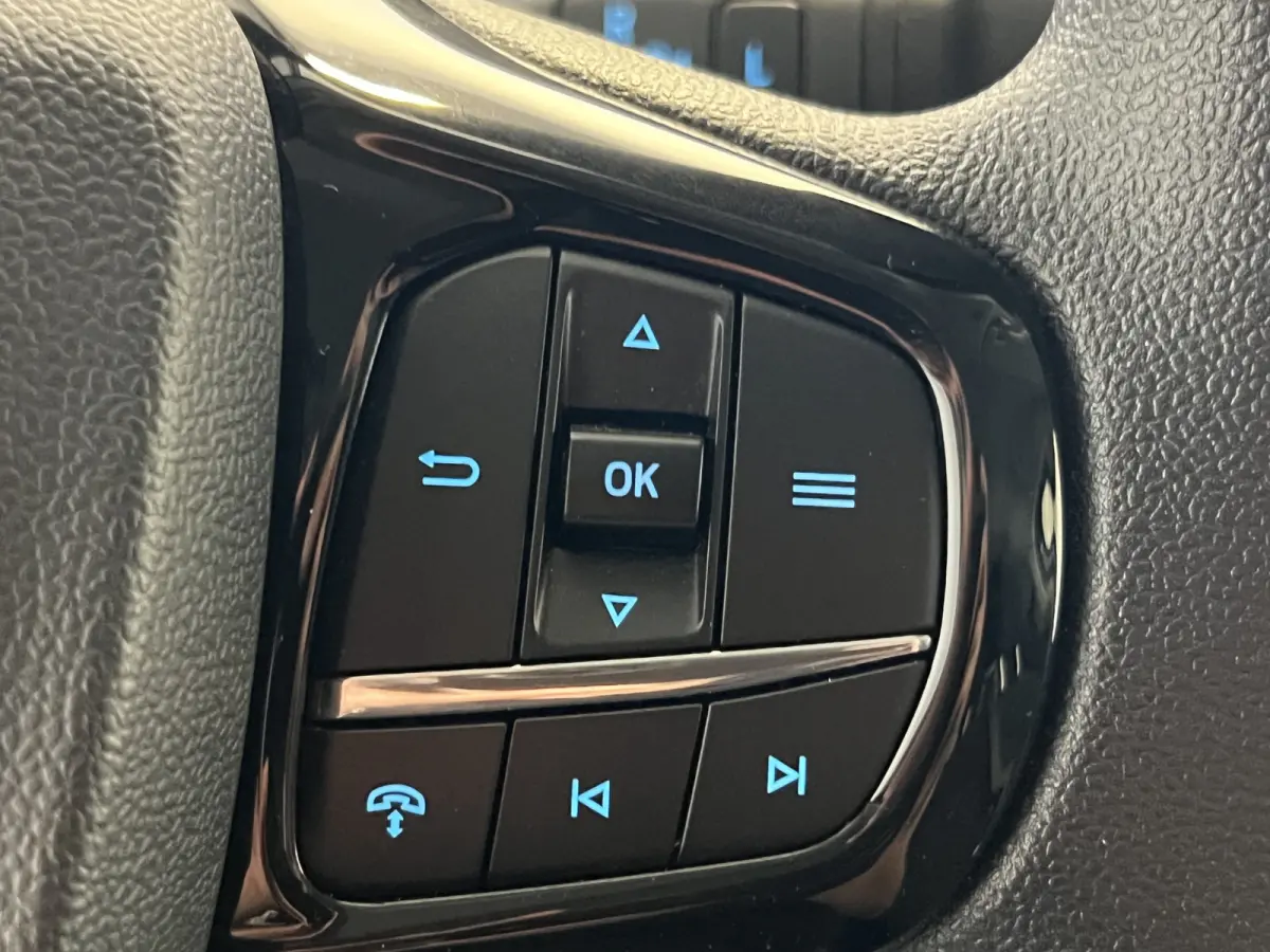 320 2.5 PHEV L1H1 Trend Trekhaak | Android Auto/Apple Carplay | Cruise Control | Achteruitrijcamera | PDC Voor en Achter | Verwarmde Voorruit |