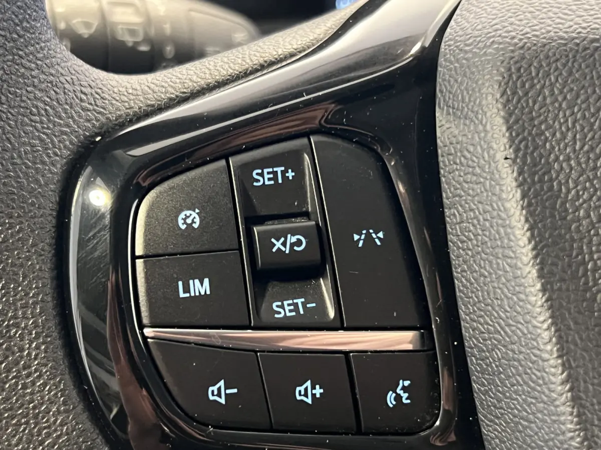 320 2.5 PHEV L1H1 Trend Trekhaak | Android Auto/Apple Carplay | Cruise Control | Achteruitrijcamera | PDC Voor en Achter | Verwarmde Voorruit |