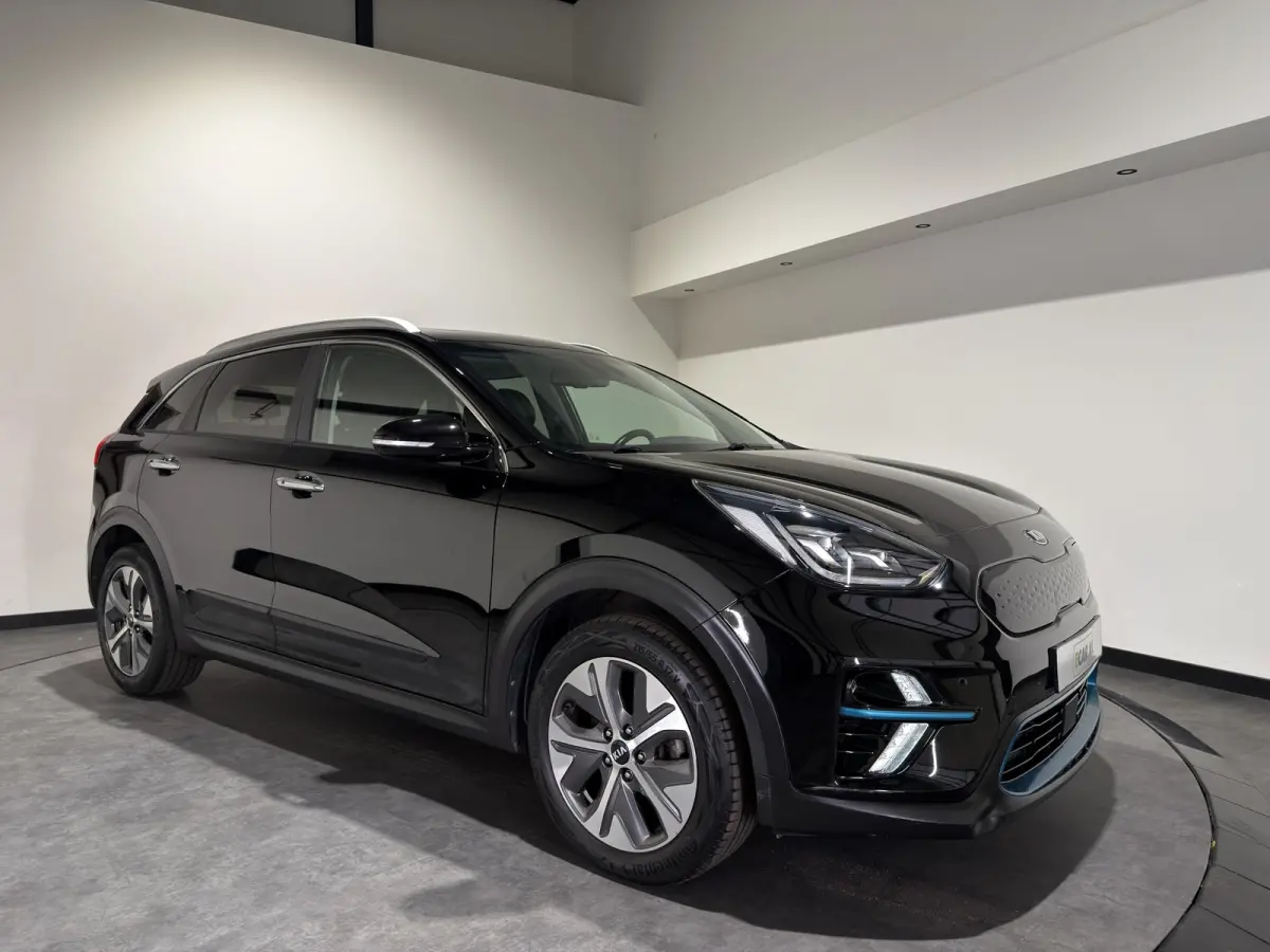 DynamicPlusLine 39 kWh | Kleine Accu |