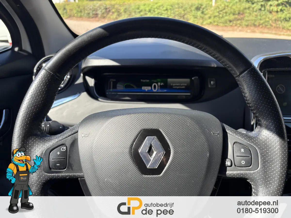 R110 Limited 41 kWh GARANTIE/KOOPACCU/STOELVERW./CRUISE/CLIMA/NAVI/EL.RAMEN rijklaarprijs!