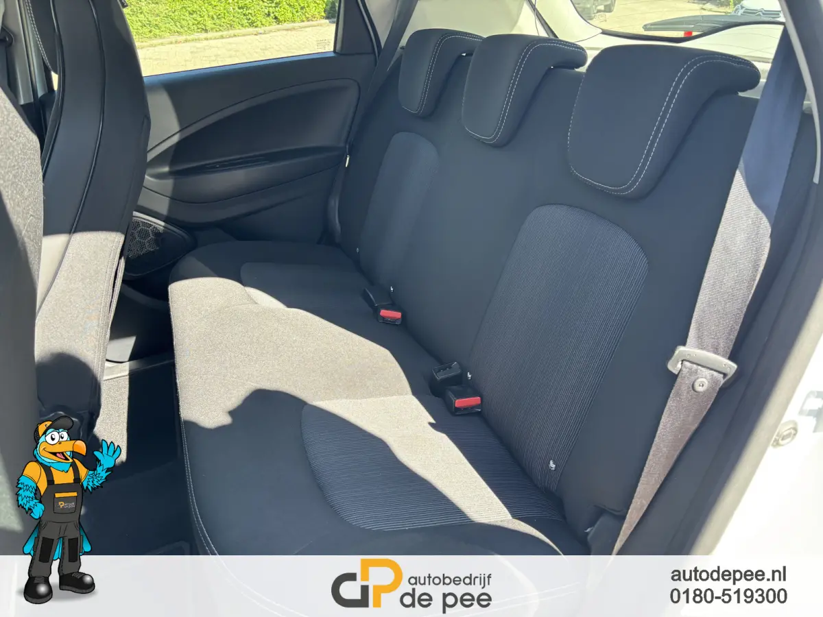 R110 Limited 41 kWh GARANTIE/KOOPACCU/STOELVERW./CRUISE/CLIMA/NAVI/EL.RAMEN rijklaarprijs!
