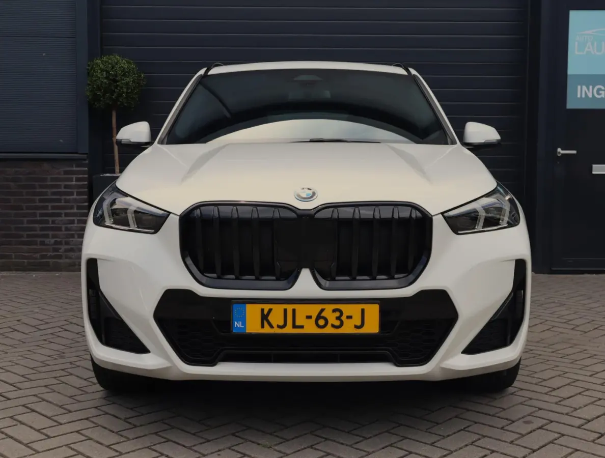 xDrive25e M Sport | Pano | H+K | Massage | BLIS