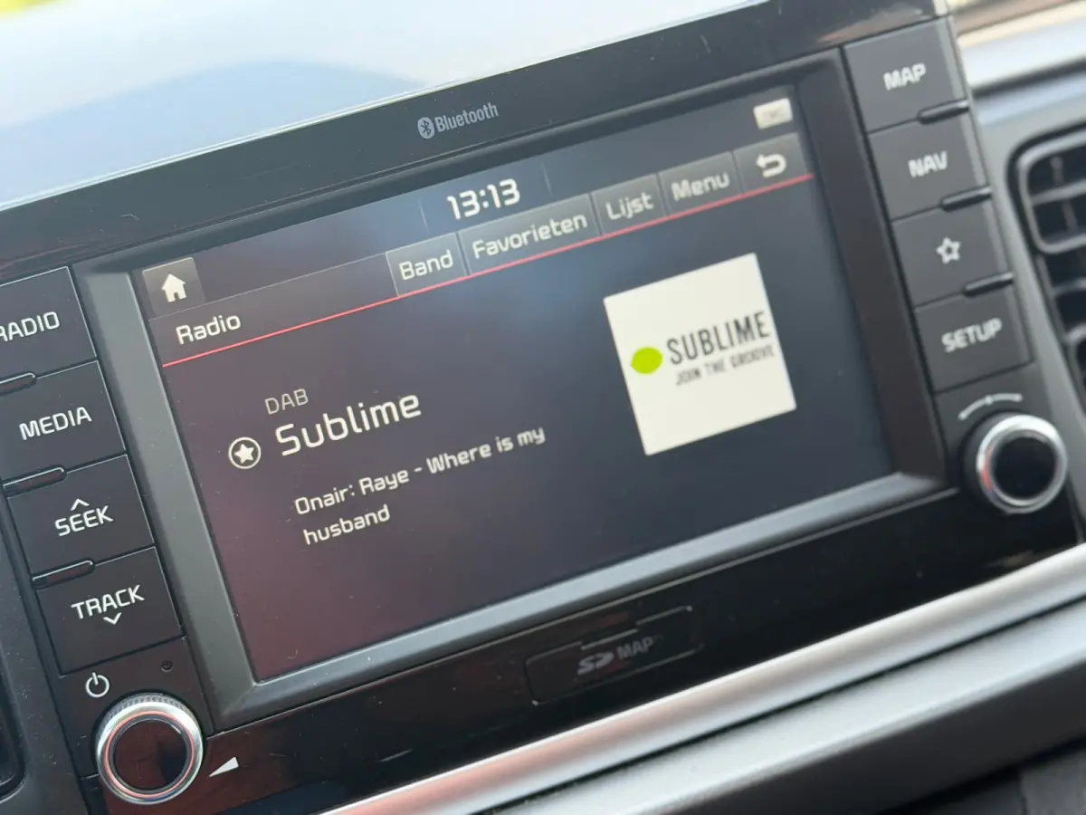 1.0 TGDI DynamicLine - Silky Silver - Camera/Carplay/Cruise - Fris