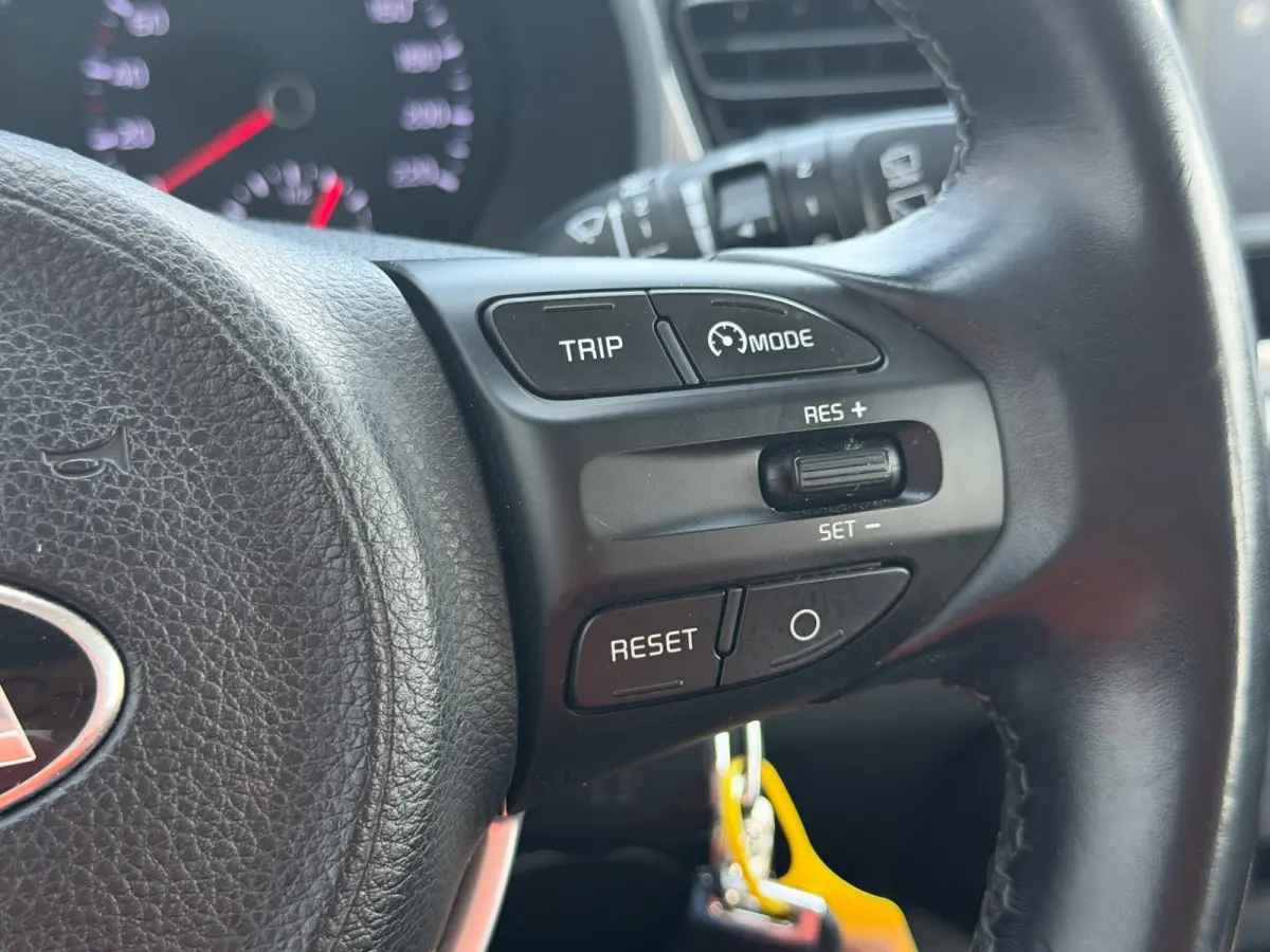 1.0 TGDI DynamicLine - Silky Silver - Camera/Carplay/Cruise - Fris