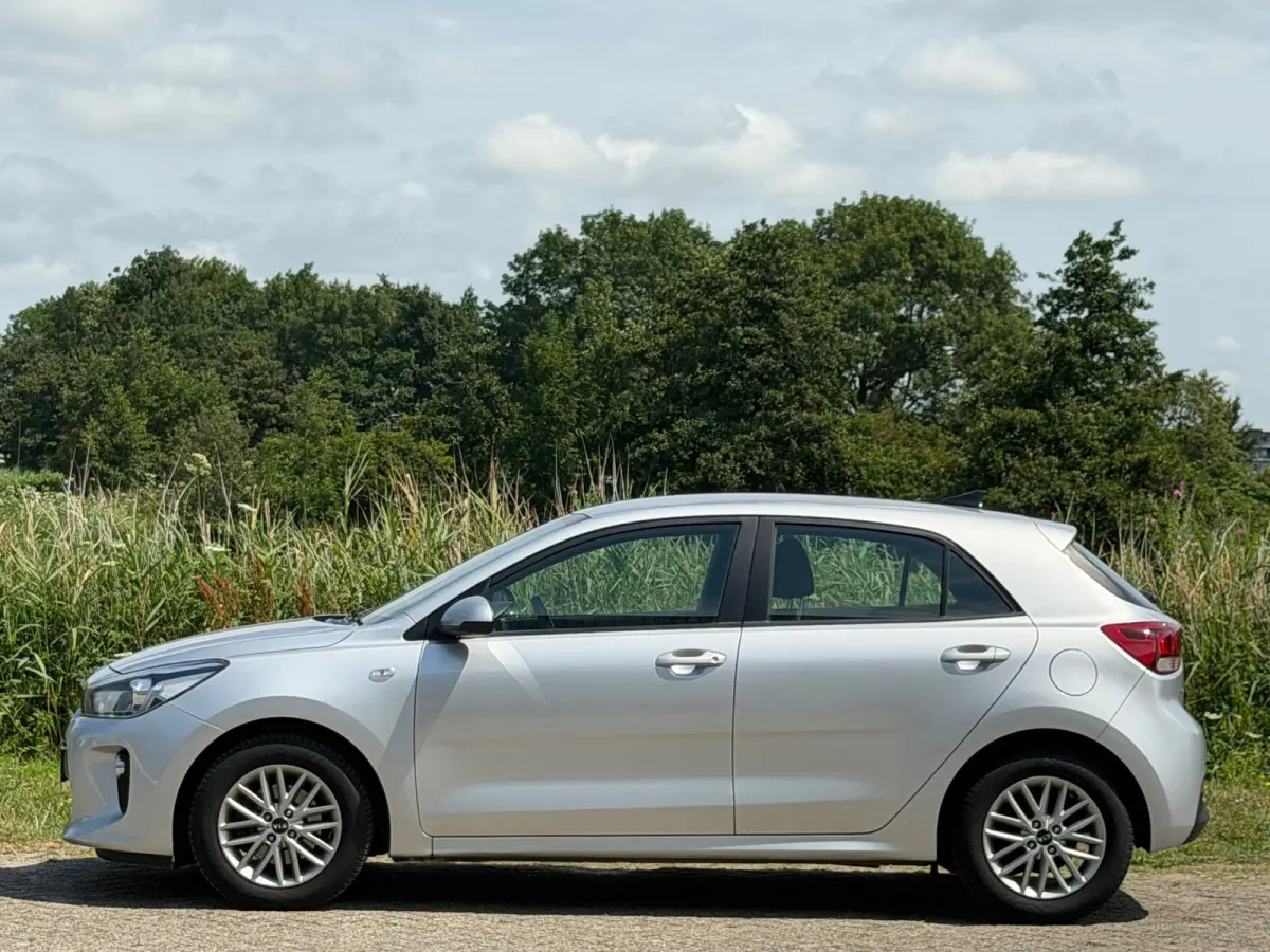 1.0 TGDI DynamicLine - Silky Silver - Camera/Carplay/Cruise - Fris