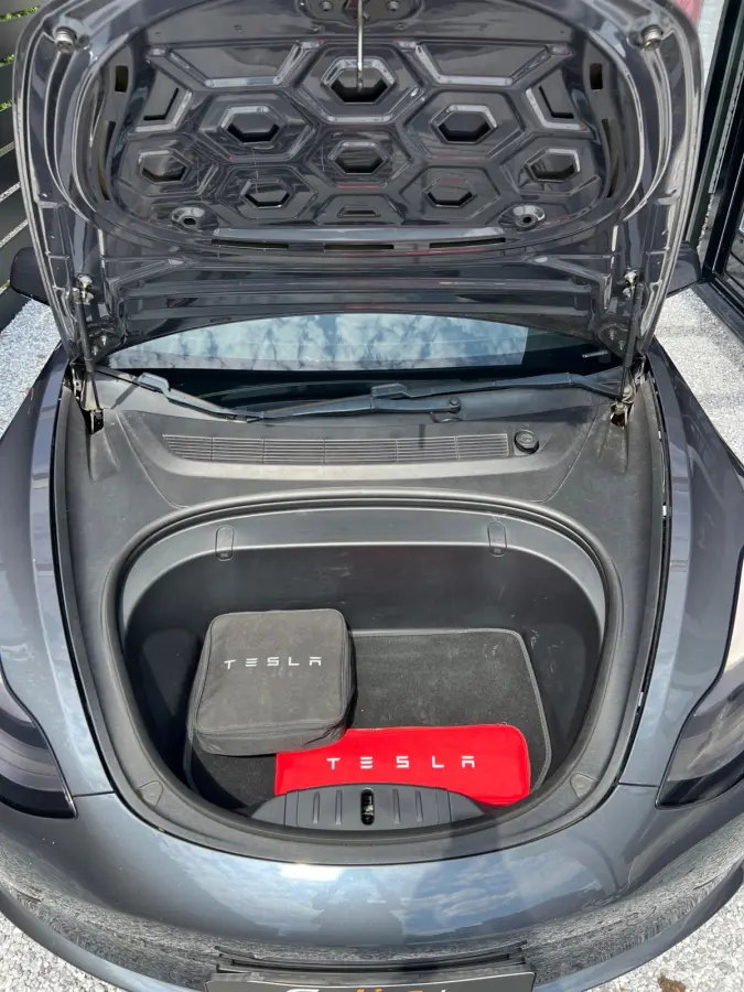 Performance AWD 75 kWh | SOH 86% | FSD