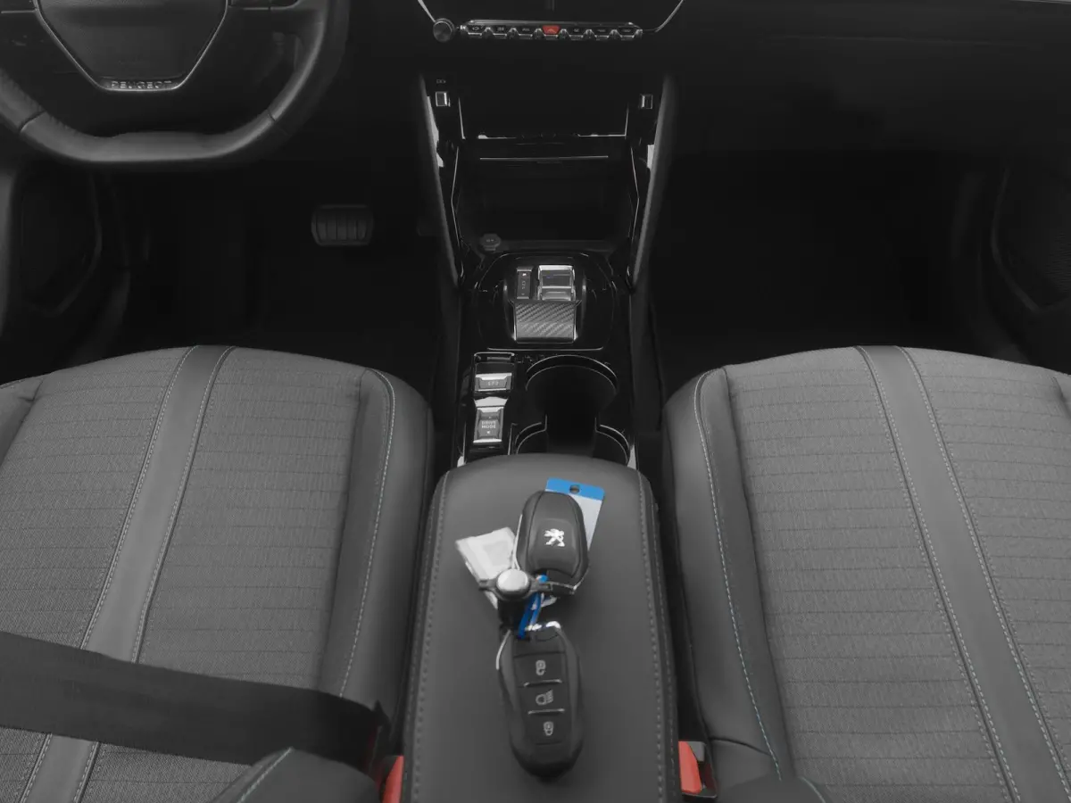 EV Allure 50 kWh | CAMERA | CARPLAY