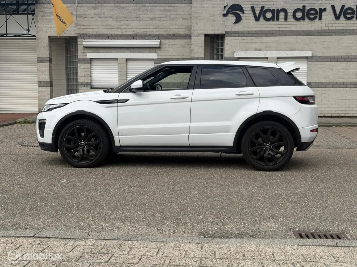 2.0 TD4 // EXPORT PRIJS