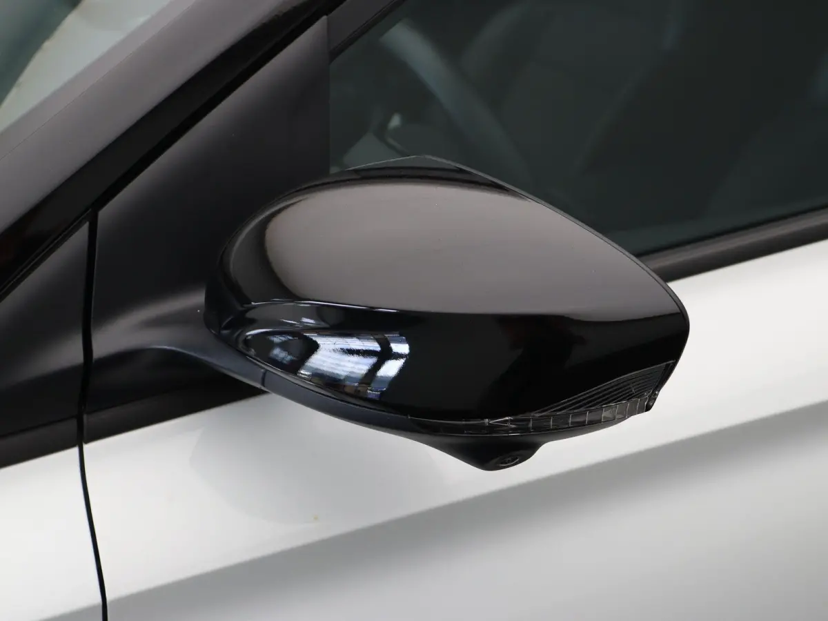 1.5 Luxury | Bi-Tone | Apple Carplay & Android Auto | Rondomzicht Camera | Stoel en Stuurwielverwarming |
