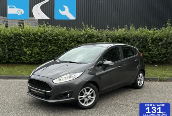 1.25 4-Cilinder, Park assist, Stoelverw, Airco