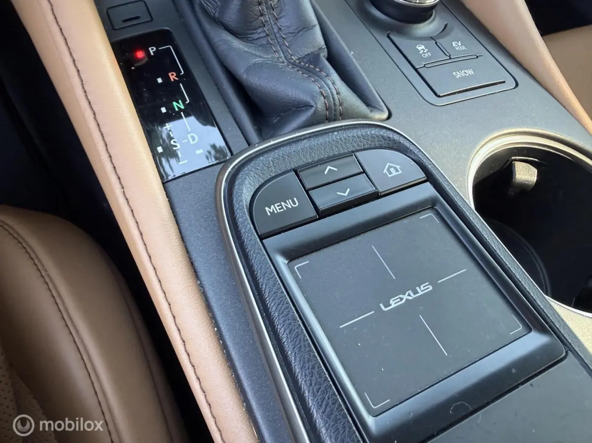 300h Luxury Line Mark Levinson