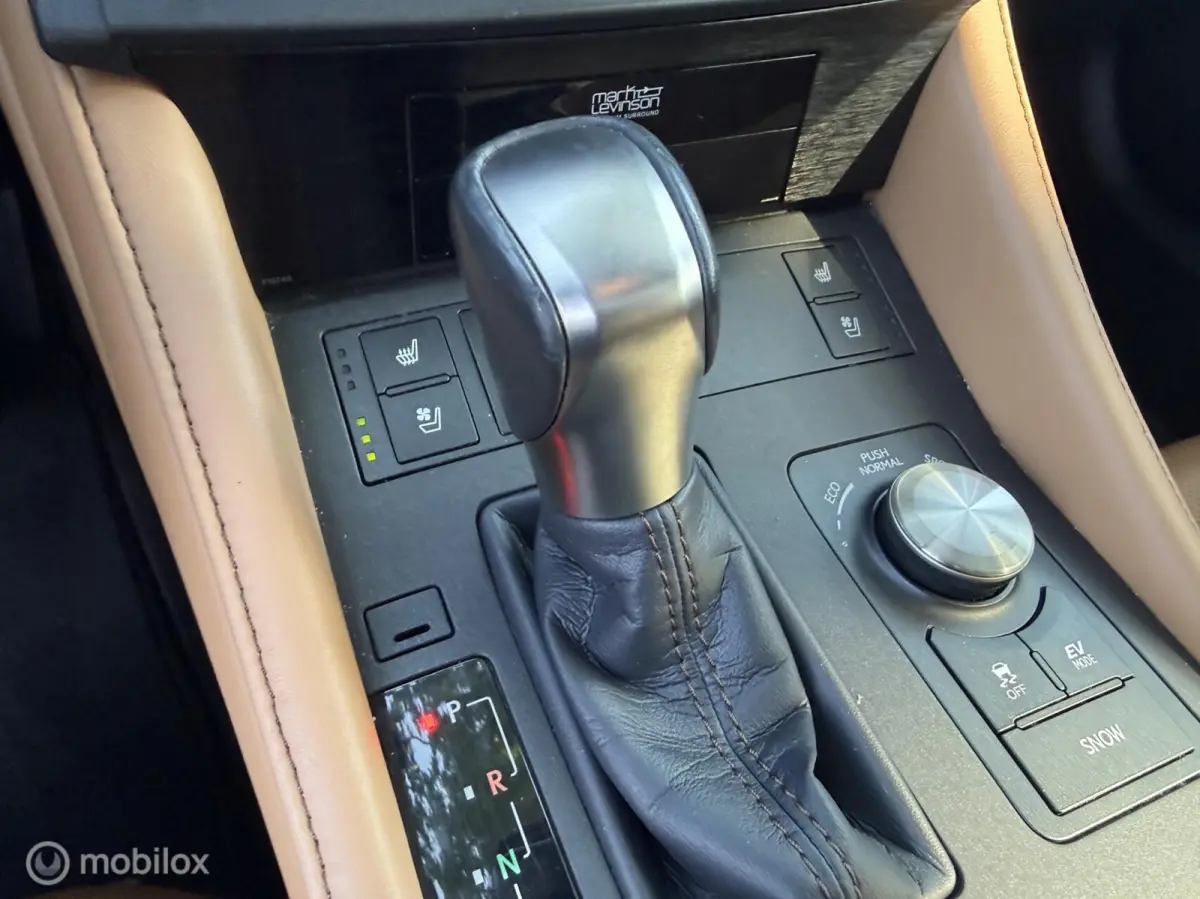 300h Luxury Line Mark Levinson