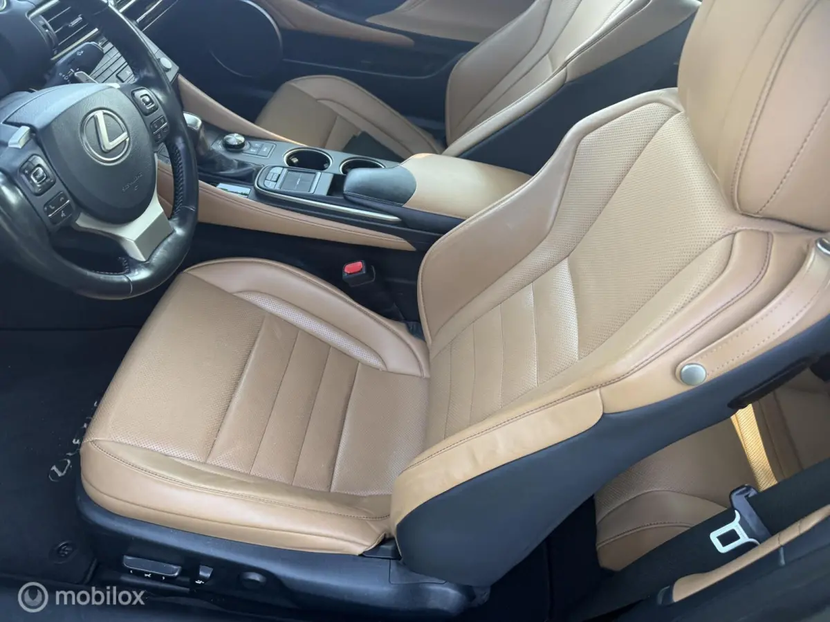 300h Luxury Line Mark Levinson