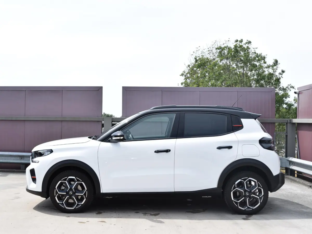Max 113pk 44 kWh