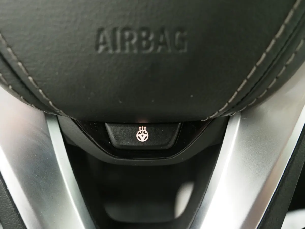 530e | Leder | Trekhaak | Keyless | Camera | Sfeerlicht | Dodehoek | Cruise | Carplay
