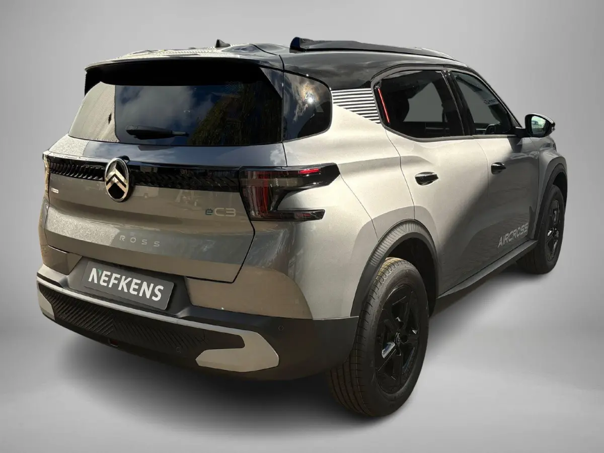 Collection 113pk Extended Range 54 kWh | Voorraaddeal! | 17" Lichtmetalen velgen | Apple Carplay Android Auto | Achteruitrijcamera | Parkeersensoren | Two tone