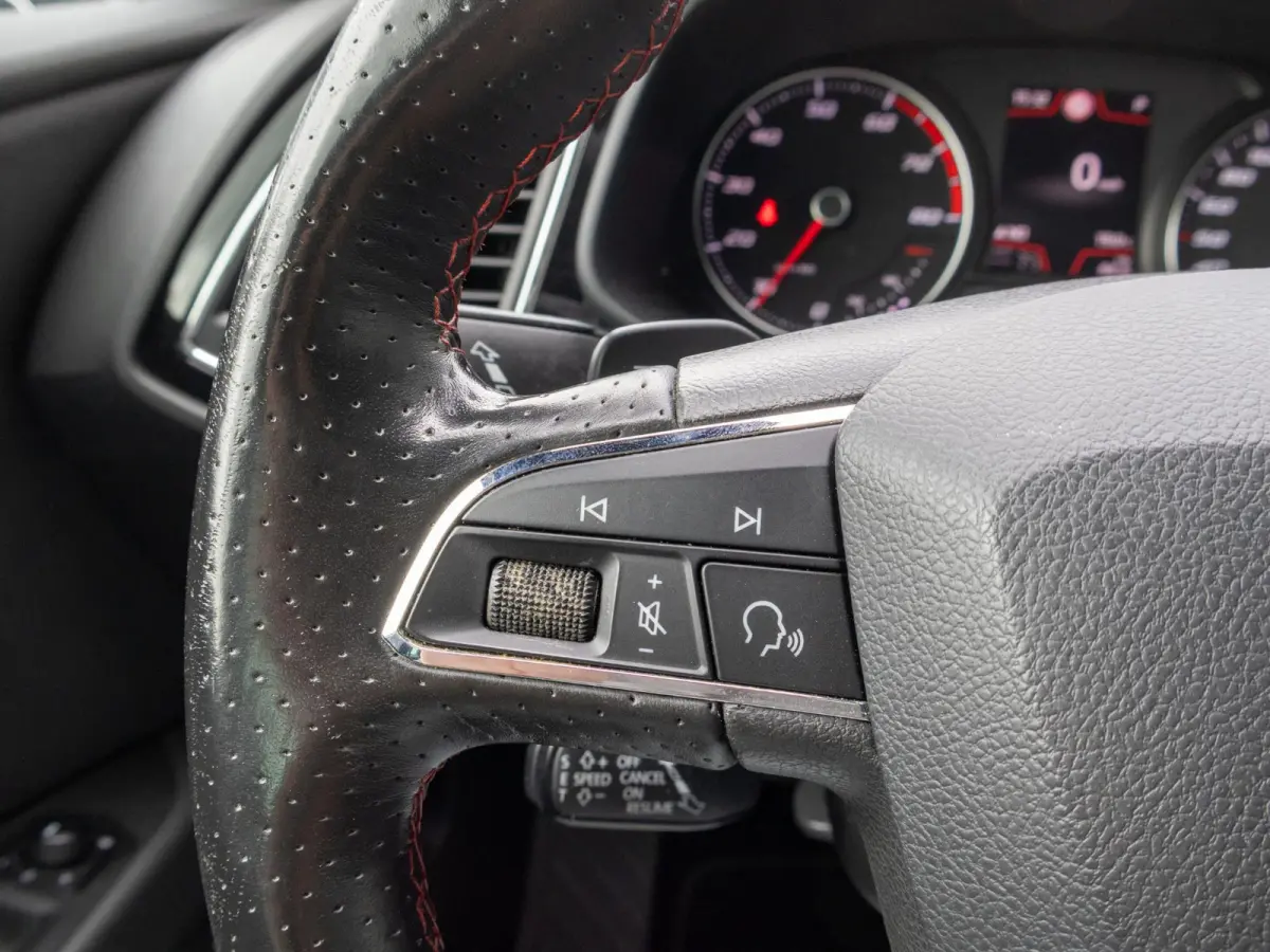1.5 TSI FR Business Intense ACC 19" Beats Camera