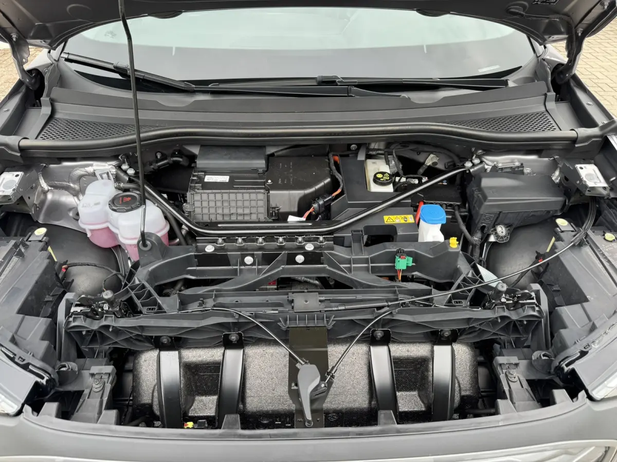 35 Launch edition 55 kWh SOH 91% Navi Carplay Leder Stoelverw All-Season banden PDC V+A Clima