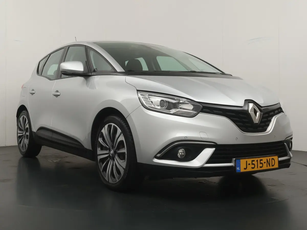 TCe 115 GPF Zen | Dealer onderhouden |