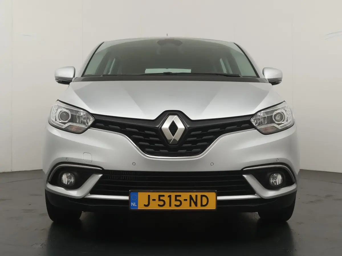TCe 115 GPF Zen | Dealer onderhouden |