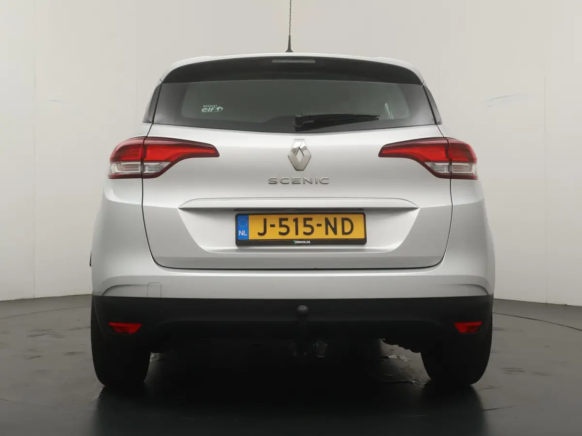TCe 115 GPF Zen | Dealer onderhouden |