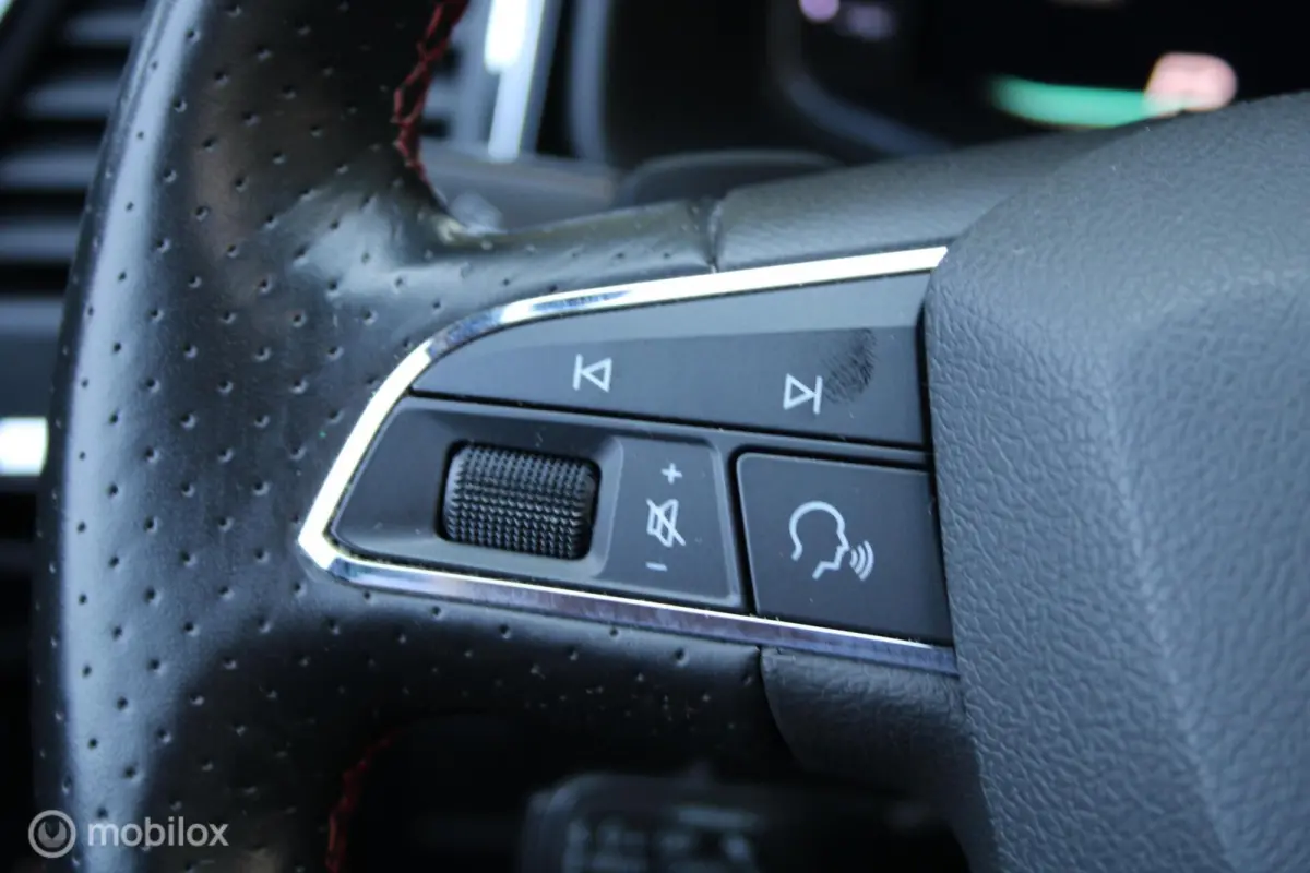 2.0 EcoTSI FR 4DRIVE/Led/LederlE.klep/Cam/Trekhaak