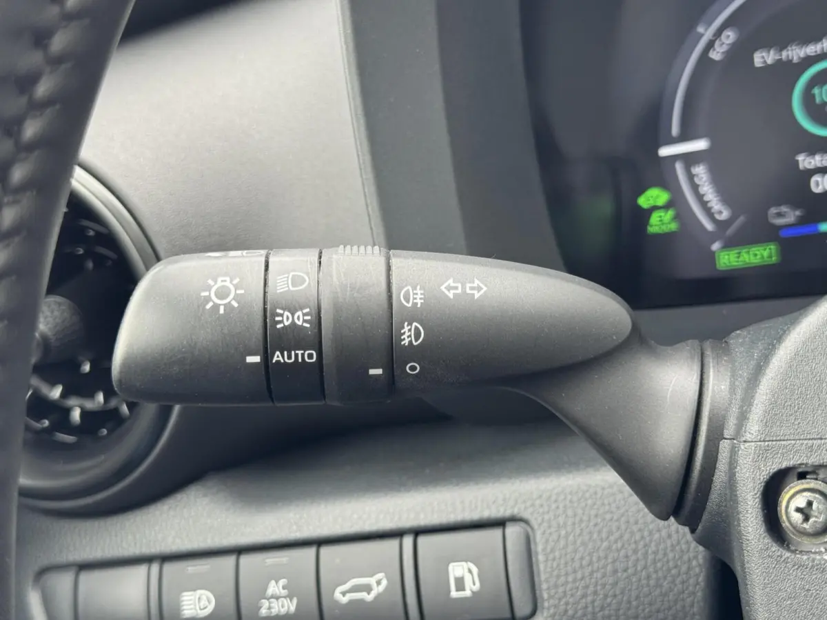 2.0 Plug-in Hybrid 220 First Edition|NL-Auto